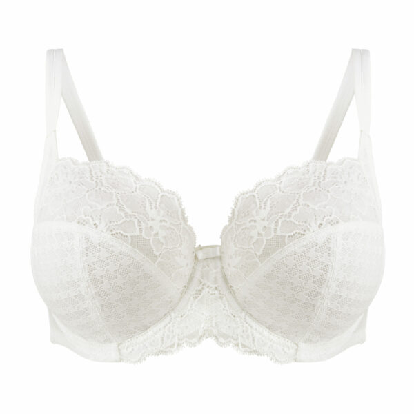 Envy Full Cup Bra  Brassiere Boutique